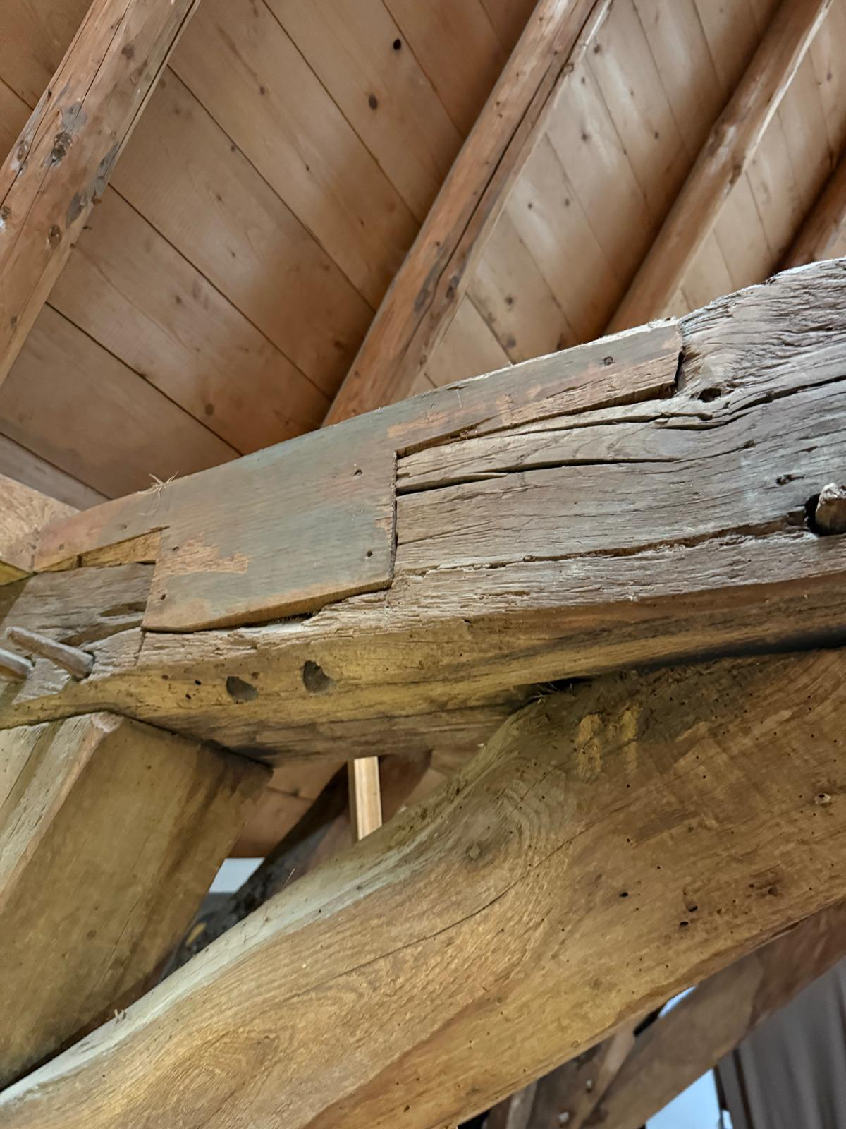 Historische kapconstructie met houtaantasting in zware balken