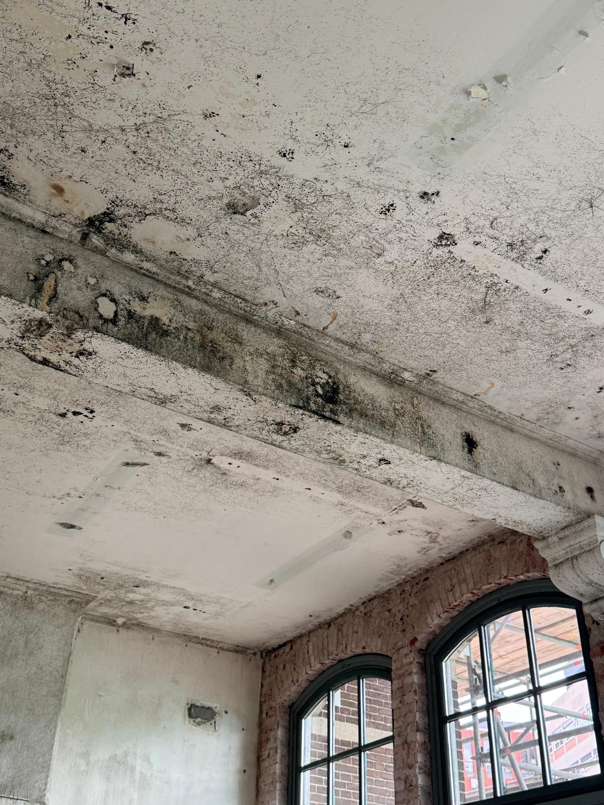 Uitgebreide oppervlakteschimmel op plafond en balken — beeld bij schimmelinspectie