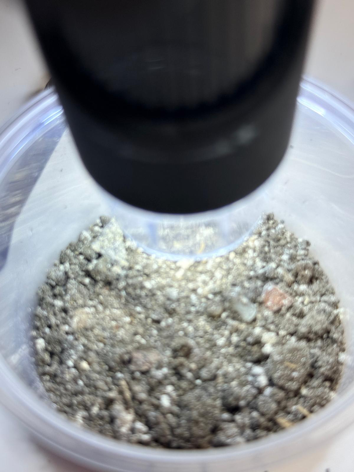 Close-up van een monster onder de stereomicroscoop tijdens laboratoriumonderzoek bij NEDON