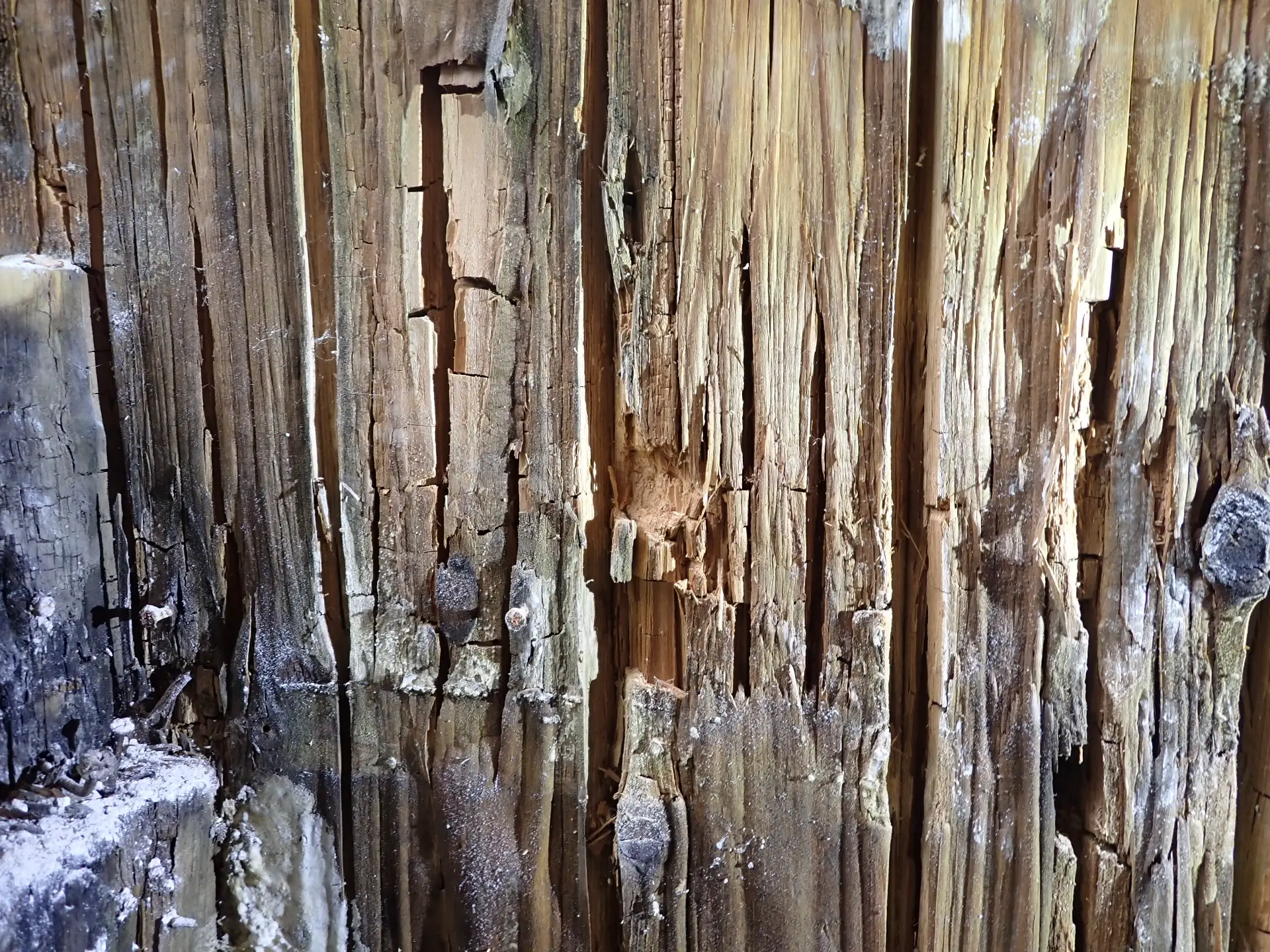 Detail van aangetast hout met openliggende vezelstructuur, scheuren en verkleuring