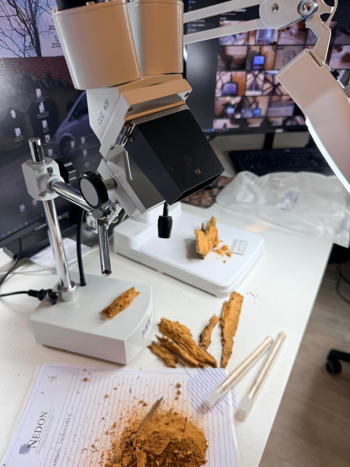 Stereomicroscoop OSE 409 met houtmonsters en NEDON-onderzoeksformulier — laboratoriumonderzoek in het NEDON-lab