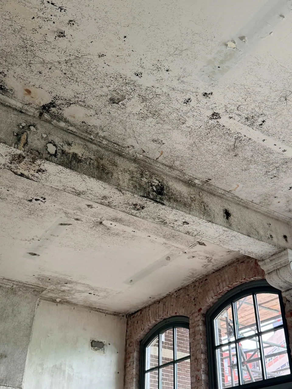 Uitgebreide oppervlakteschimmel op plafond en balken — beeld bij schimmelinspectie