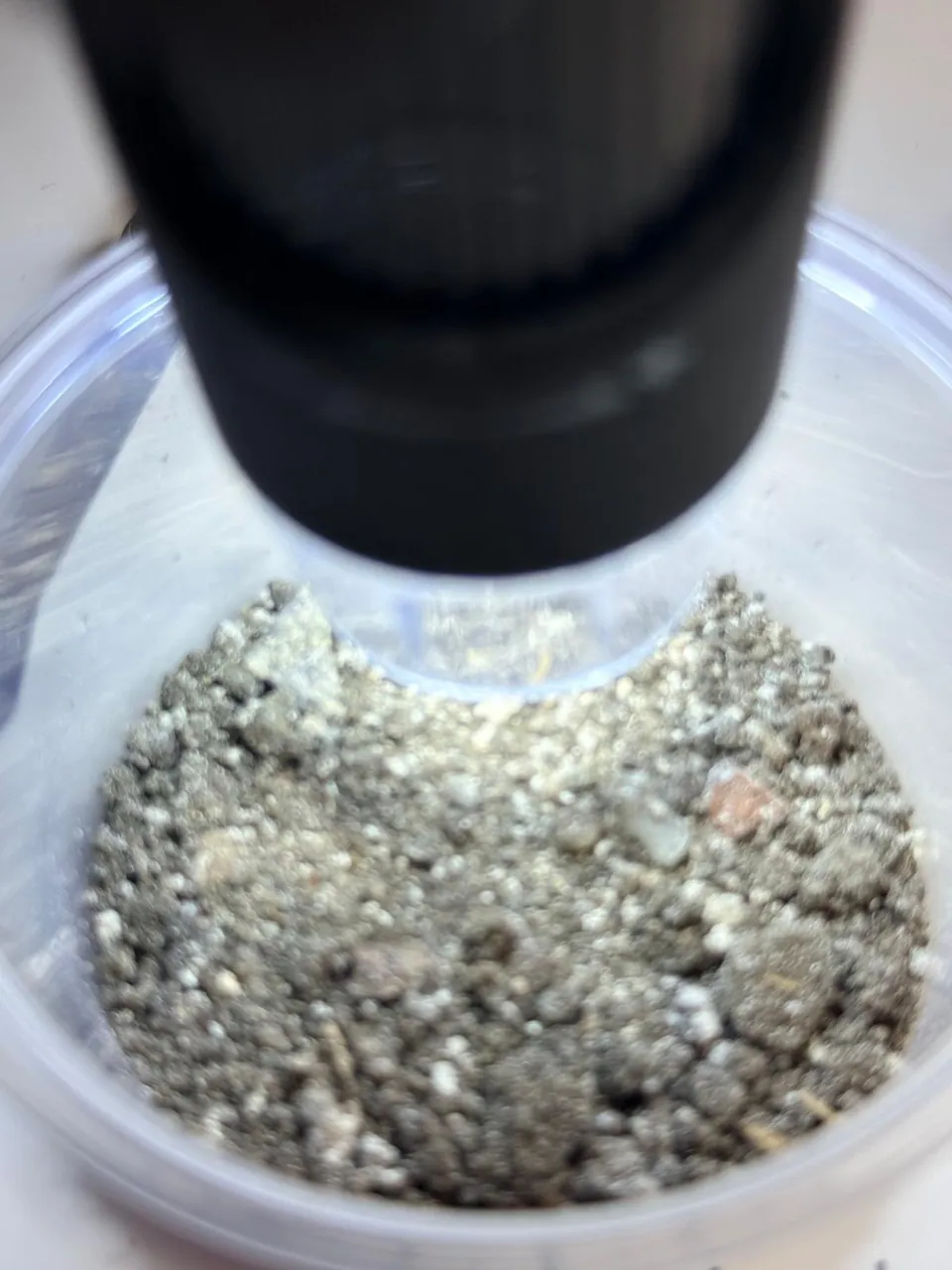 Close-up van een monster onder de stereomicroscoop tijdens laboratoriumonderzoek bij NEDON